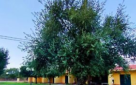 Nuraghe Ruiu Camping & Bungalow