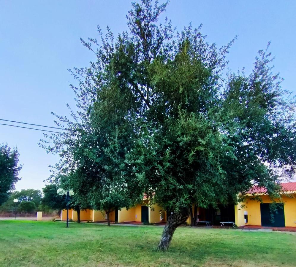 Nuraghe Ruiu Camping & Bungalow Norbello Extérieur photo